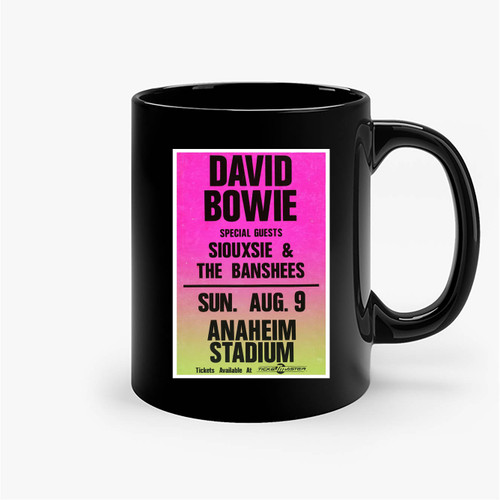 David Bowie Siouxsie And The Banshees Concert Ceramic Mugs