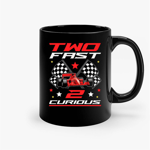 Two Fast 2 Curious Birthday Decorations 2nd Bday Ceramic Mugs