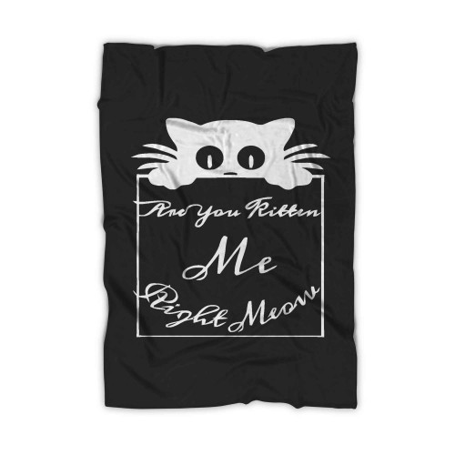 Are You Kitten Me Right Meow Lee Blanket Are You Kitten Me Right Meow Lee Blanket