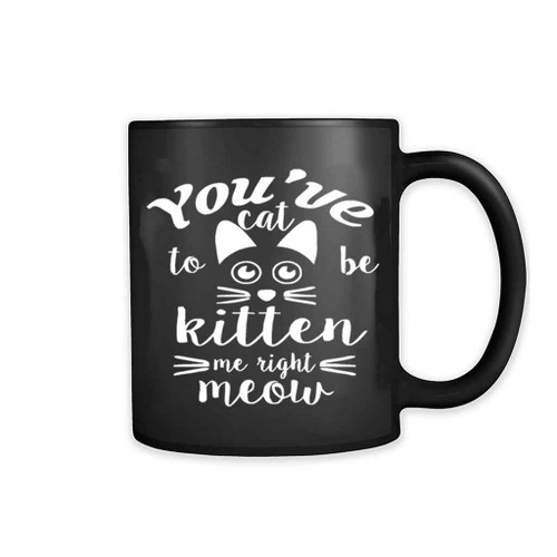 Are You Kitten Me Right Meow Meow 11oz Mug