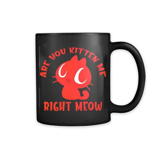Are You Kitten Me Right Meow Are 11oz Mug