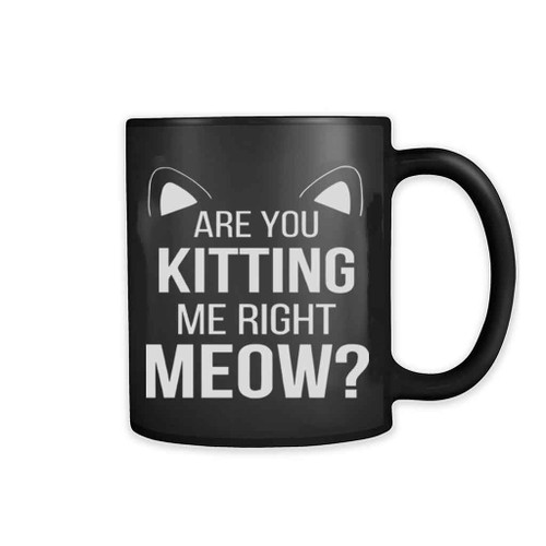 Are You Kitten Me Right Meow Duck 11oz Mug