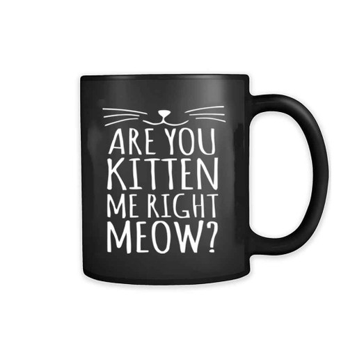 Are You Kitten Me Right Meow Funny 11oz Mug