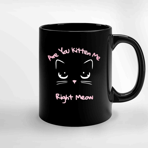 Are You Kitten Me Right Meow 23 Ceramic Mugs