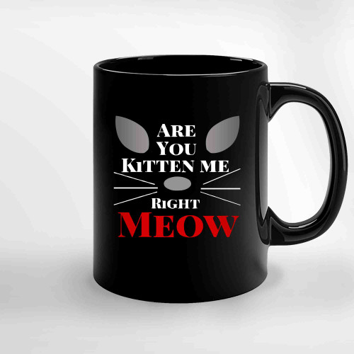 Are You Kitten Me Right Meow 29 Ceramic Mugs