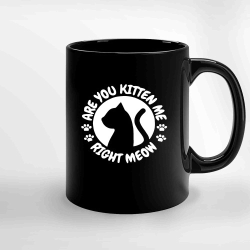 Funny Gift Cat Lovers Are You Kitten Me Right Meow Ceramic Mugs