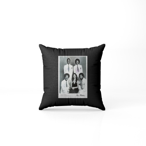 The Platters  Pillow Case Cover