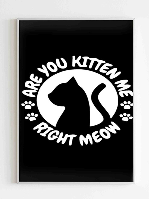 Funny Gift Cat Lovers Are You Kitten Me Right Meow Poster