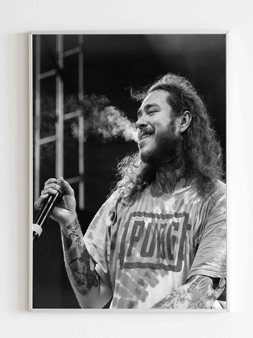 Post Malone With Pubg Poster