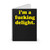I Am A Fucking Delight Funny Quote Spiral Notebook