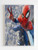 Spider Man Swings Poster