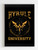 Hyrule University Poster