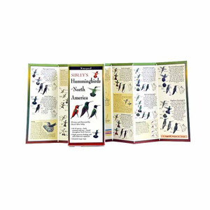 Sibley's Hummingbirds Of North America Sibley's Hummingbirds Of North America