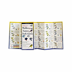 Sibley's Warblers Of East North America Sibley's Warblers Of East North America