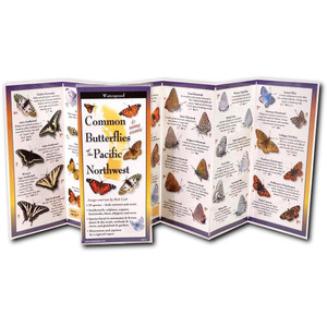 Butterflies Northwest Guide Butterflies Northwest Guide