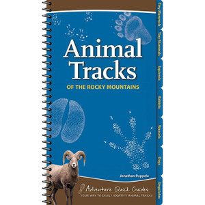 Animal Tracks Rocky Mountains Animal Tracks Rocky Mountains