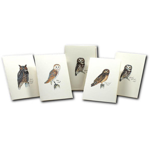 Owl Notecards Owl Notecards