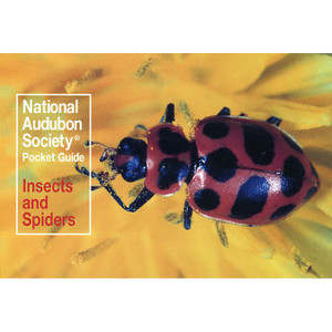 National Audubon Society | Pocket Guide to Familiar Insects & Spider National Audubon Society | Pocket Guide to Familiar Insects & Spider