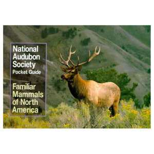National Audubon Society | Pocket Guide to Familiar Mammals National Audubon Society | Pocket Guide to Familiar Mammals