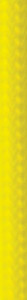 Peregrine Paracord | 1000" | Neon Yellow Peregrine Paracord | 1000" | Neon Yellow