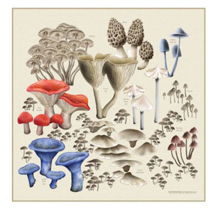 Nature Facts Bandanas | Mushroom Bandana