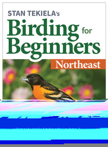BIRDING FOR BEGINNERS: NORTHEAST
