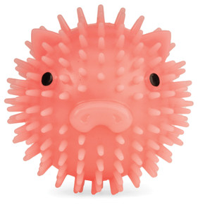 KIKKERLAND PIGGY DOG BALL