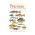 Peterson Field Guide To Freshwater Fishes