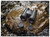 NIKON  MONARCH M5 | 10X42