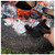 ROME  ASH REMOVAL TOOL