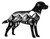 STICKER ART ADVENTURE DOG STICKER