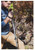 ALPS MOUNTAINEERING  CLASSIC TREKKER POLE | GRAY