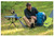 ALPS MOUNTAINEERING  EXCURSION TREKKING POLE | BLUE