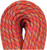 Beal Tiger 10mm | Dry Cover / Golden Dry