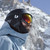 Bolle Keystone Helmet Black Matte