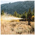 Frontiersman Bear & Mountain Lion Spray