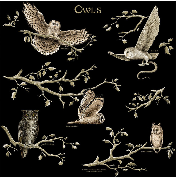 The Printed Image Owls Bandana