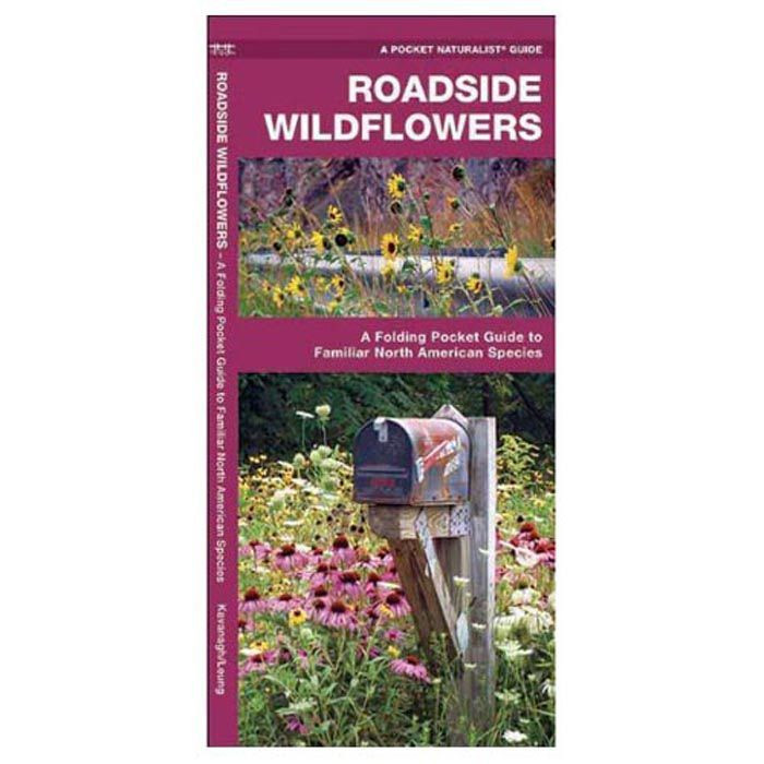 Waterford Press | Roadside Wildflowers
