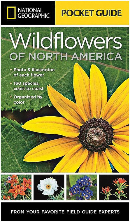 National Geographic | Pocket Guide Wildflowers of North America