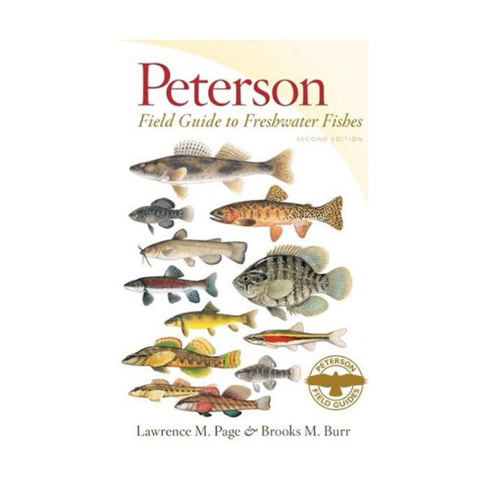 Peterson Field Guide To Freshwater Fishes
