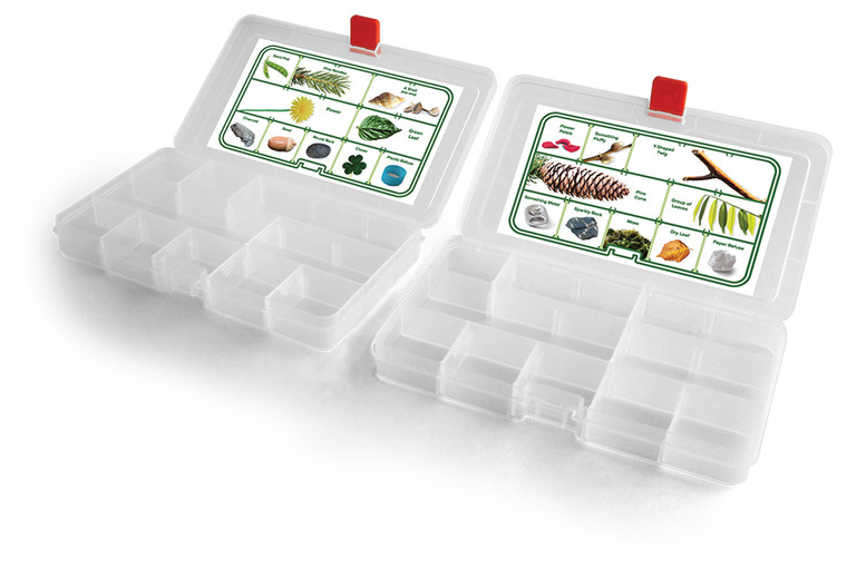 Coghlan's Scavenger Hunt