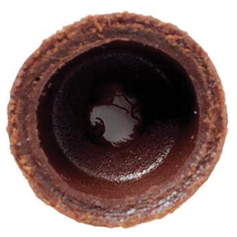 PRIMUS LEATHER PUMP CUP GASKET FOR ALL PRIMUS STOVE FUEL PUMPS