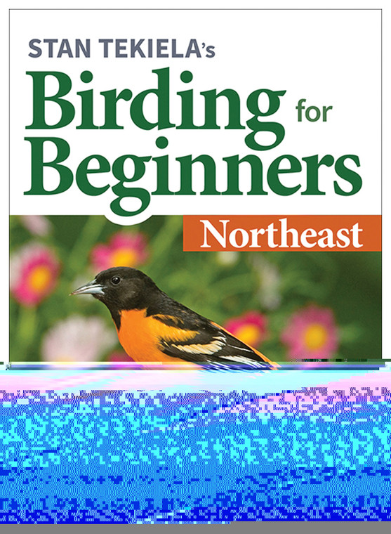 BIRDING FOR BEGINNERS: NORTHEAST