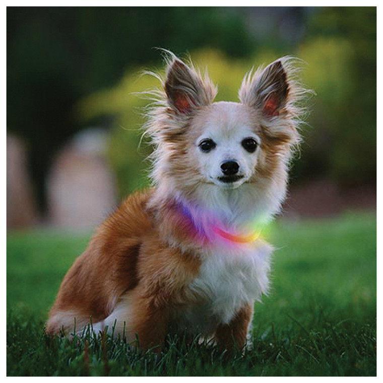 NITE IZE  NITEHOWL MINI RECHARGEABLE LED SAFETY NECKLACE-DISC-O SELECT