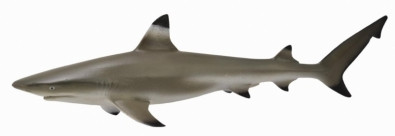 CollectA Blacktip Reef Shark