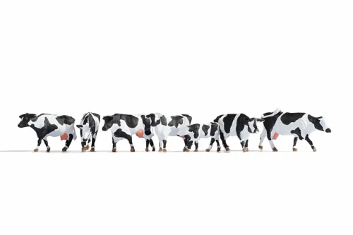 Noch HO Model Figures - Cows, black-white