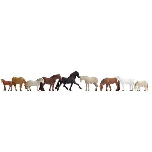 Noch N Horses (9)