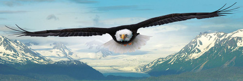 Eurographics Eagle Panoramic 1000pc