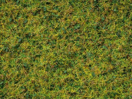 Noch Master Grass Blend Cow Pasture