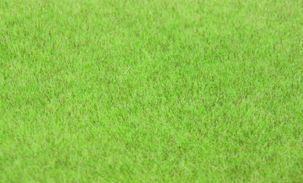 Heki 5-6mm Wildgrass Dry Grass